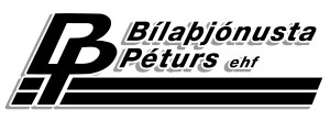 BP logo 3